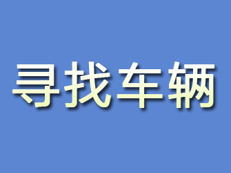 乐安寻找车辆